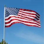 Country flags displayed outdoors on tall flagpoles