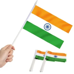 Paper flags of india holding in a hand