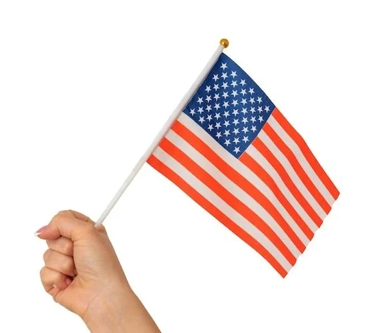 A Small Hand Flag of Japan Hold by a hand