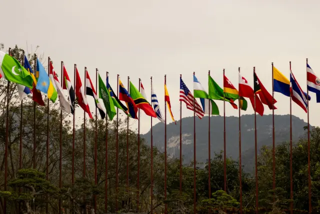 Large outdoor flags displayed