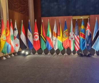 Flags For World Hindi Confrence, Mauritius