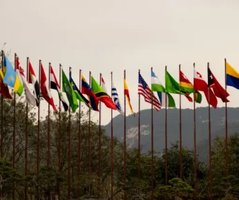 Large outdoor flags displayed