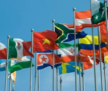 Flags for INDO-AFRICAN Summit, Lucknow