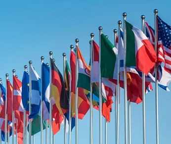 Flags For World Congress of ICMM Event, New Delhi